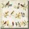 Outdoor Living and Style Beige and Green Birdsong Outdoor Canvas Square Wall Art Decor 24" x 24"